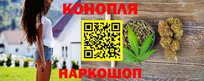 стафф Донецк
