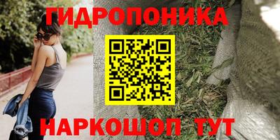 эйфоретик Гусиноозёрск