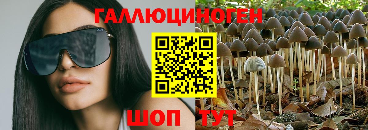 Галлюциногенные грибы Cubensis Менделеевск