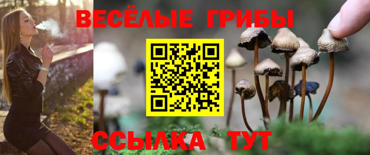 Галлюциногенные грибы Cubensis  Галлюциногенные грибы MAGIC MUSHROOMS  Вход с VPN  Менделеевск 